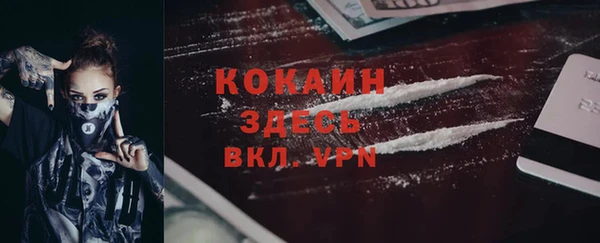 амф Алексин