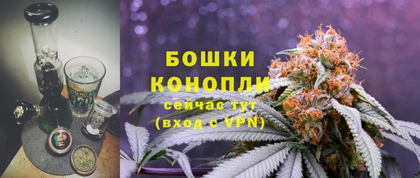гидра Медвежьегорск
