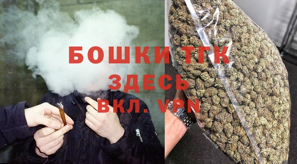 твердый Арсеньев