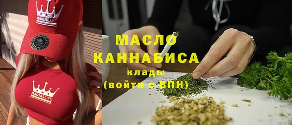 твердый Арсеньев