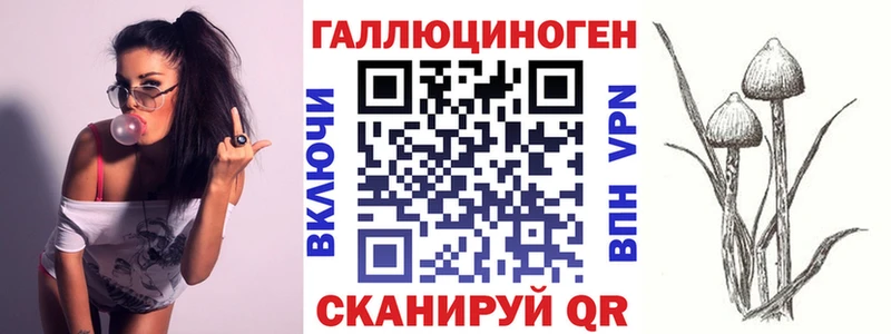Галлюциногенные грибы Cubensis закладки Азов